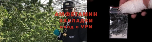 PSILOCYBIN Армянск
