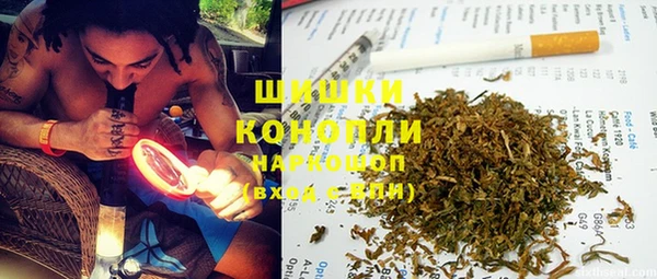 PSILOCYBIN Армянск