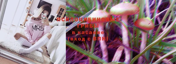 PSILOCYBIN Армянск