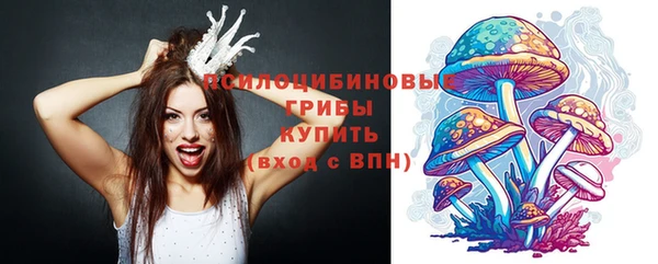 PSILOCYBIN Армянск